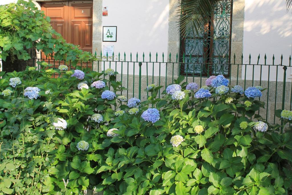 Casa Jardin De La Plata Lejlighed Banos De Montemayor Eksteriør billede